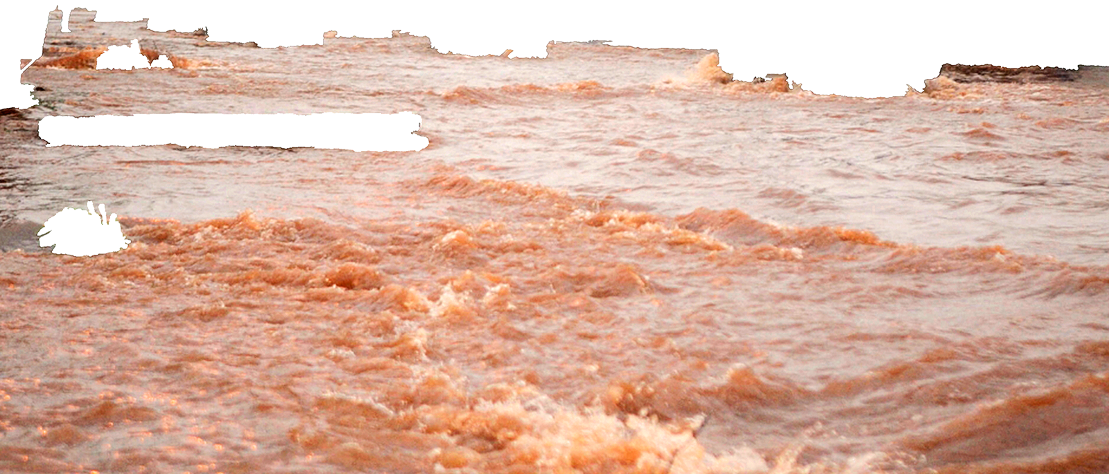 CARTOGRAFAS DE LA DESOBEDIENCIA