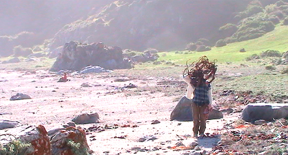 Sudamericanas Visin nocturna