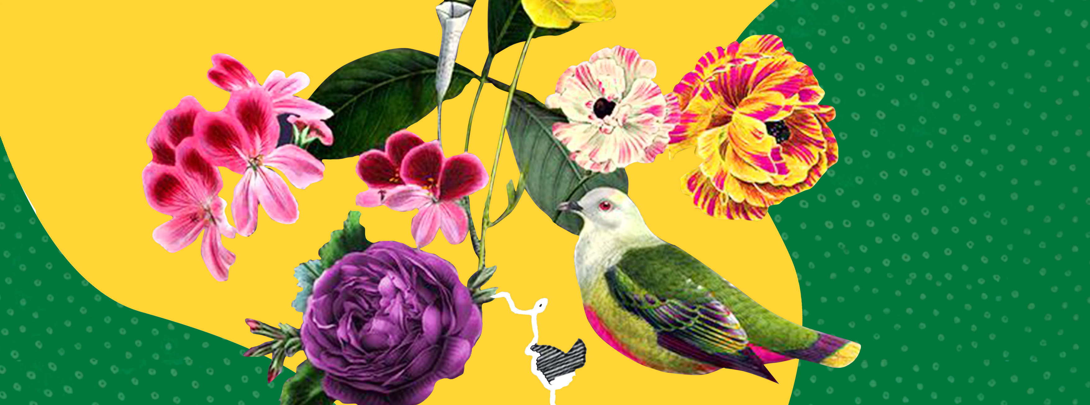 Escuch Contame Na una coleccin de audiocuentos de jvenes autoras