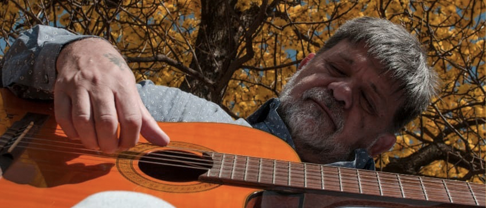 Concierto Ricardo Flecha