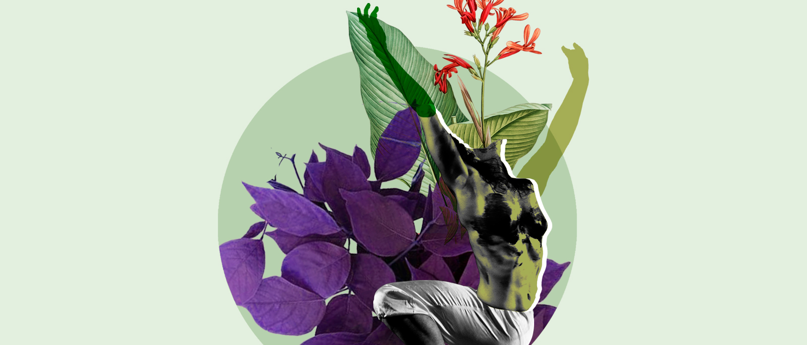 21 Encuentro Internacional de Danza y Artes Contemporneas de Asuncin Crear en Libertad