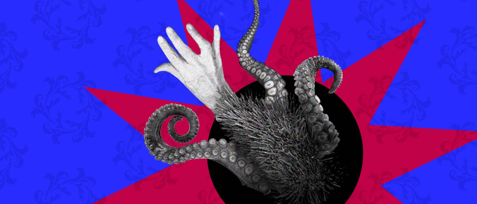 X Festival de Teatro Hispano Paraguayo Nos crecern tentculos