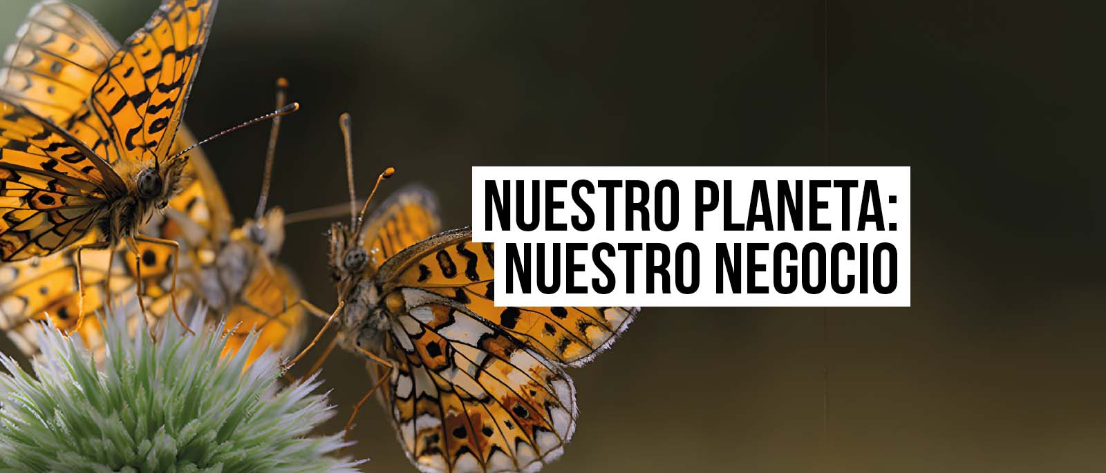 Nuestro Planeta Nuestro Negocio
