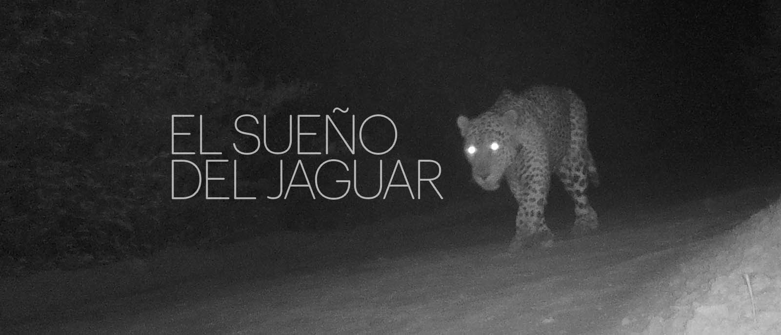 El Sueo del Jaguar