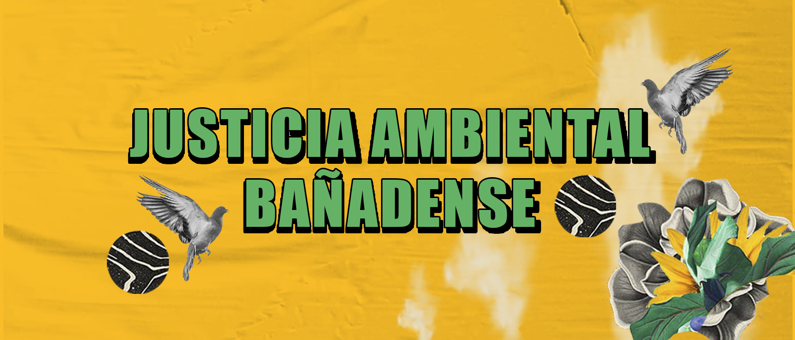 Foro Internacional de Justicia Ambiental Baadense