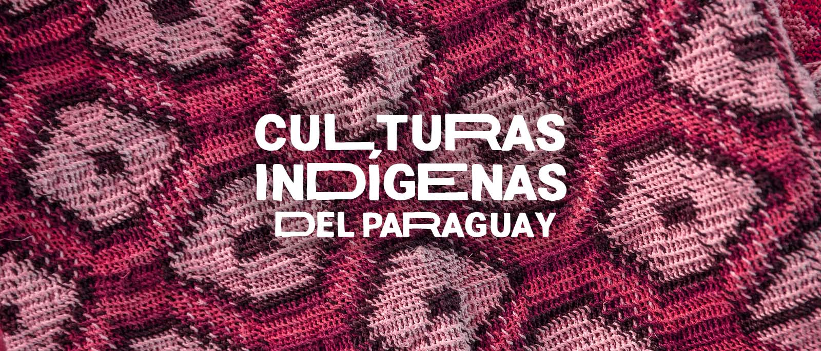 Curso Culturas Indgenas del Paraguay