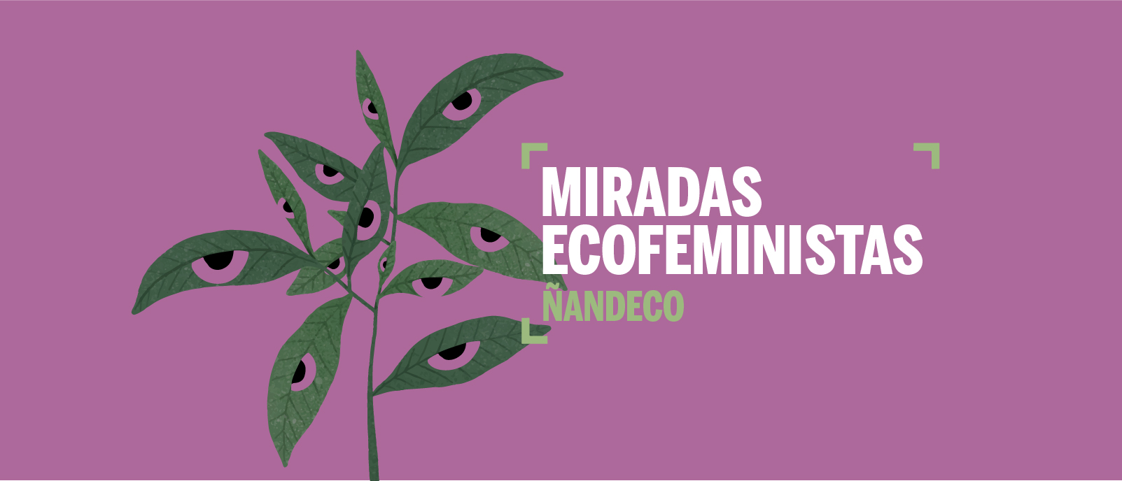 Miradas Ecofeministas AndECO