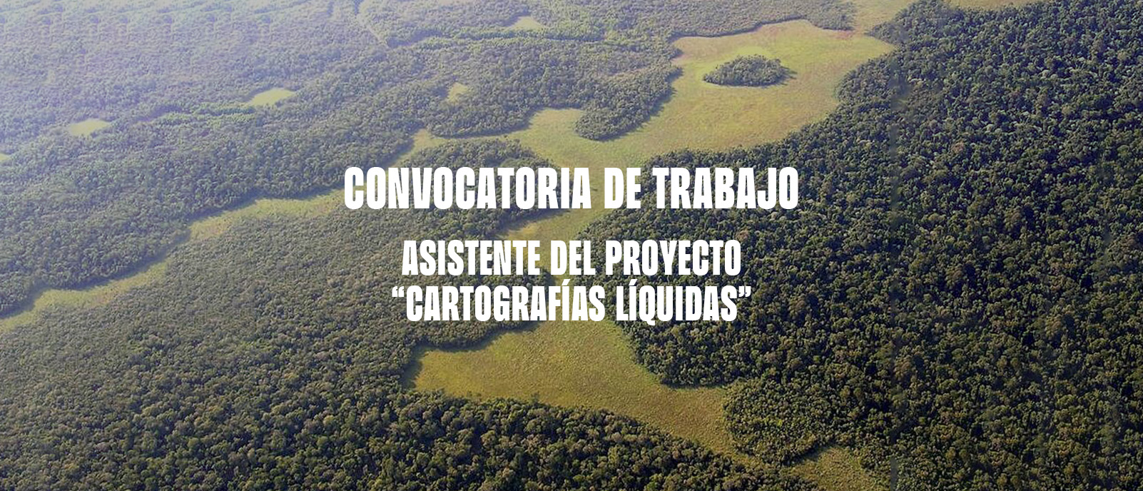 Convocatoria de trabajo Asistente de proyecto Cartografas Lquidas