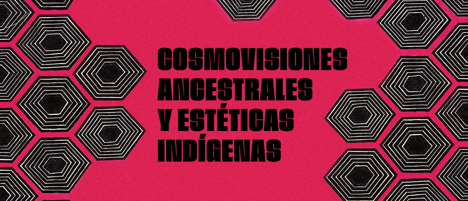 Cosmovisiones ancestrales y estticas indgenas