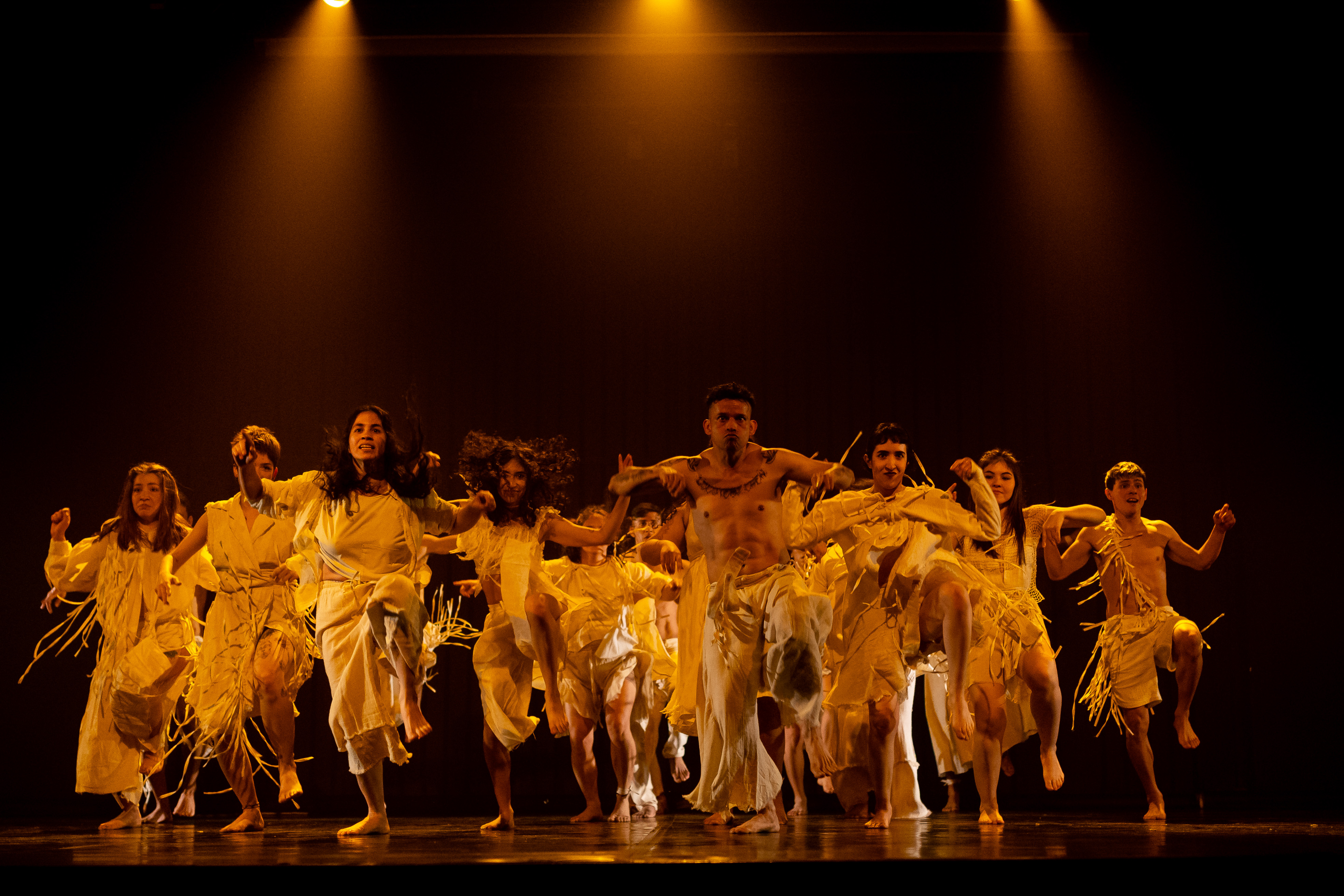 Programa Apoyo a la creación local