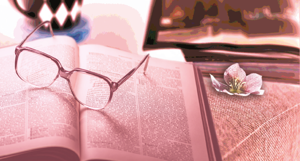 MUJERES EN SU PROPIA COMPAA EPA