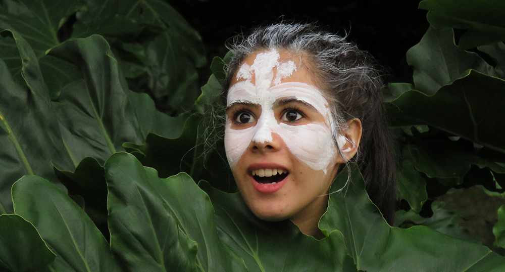 MALEFICIO DE LA MARIPOSA