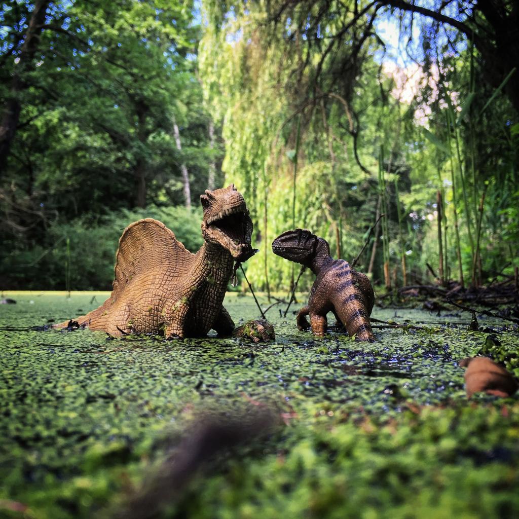 LOS DINOS SE INTERVIENE