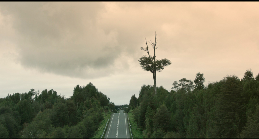 Sudamericanas Historia de mi nombre