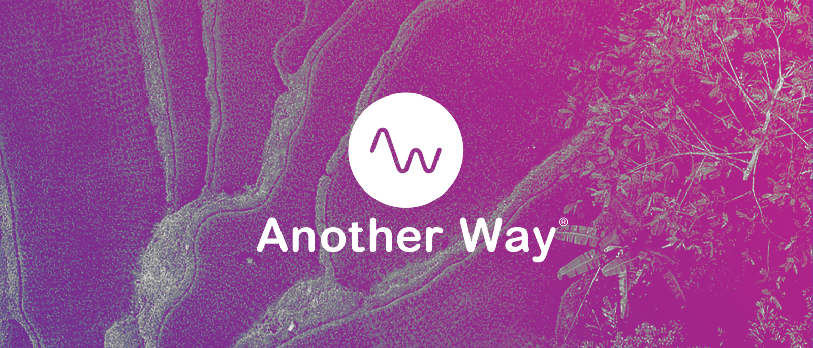 Muestra de Cine Another Way