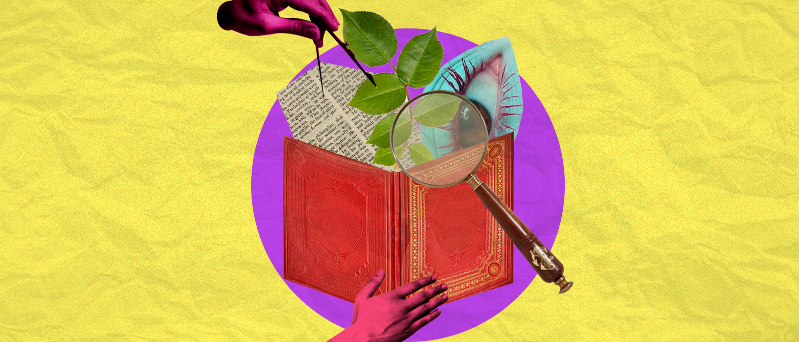 Poco puede la lluvia con las palabras Mentora literaria con Dafne Bustos