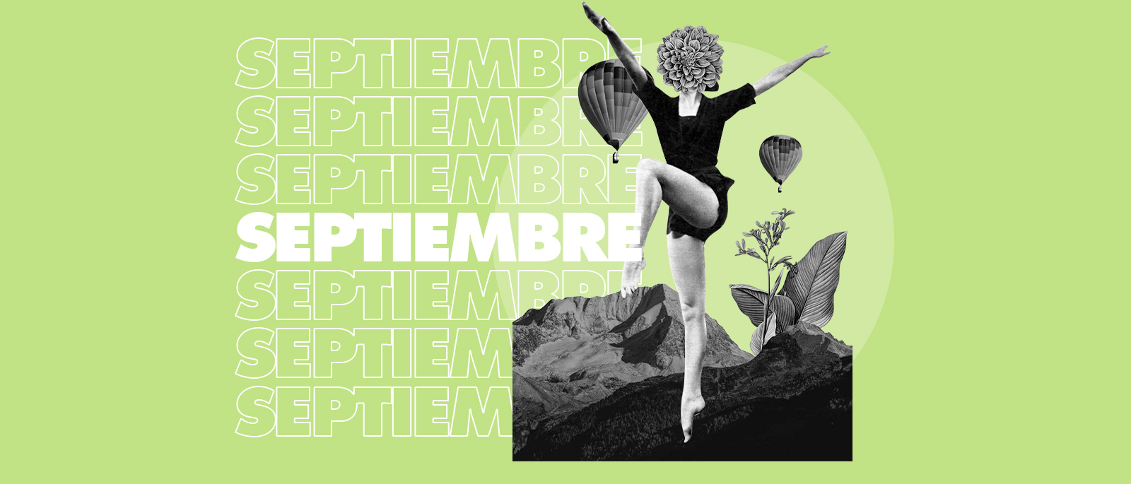 Septiembre en el Salazar De flores y juventudes