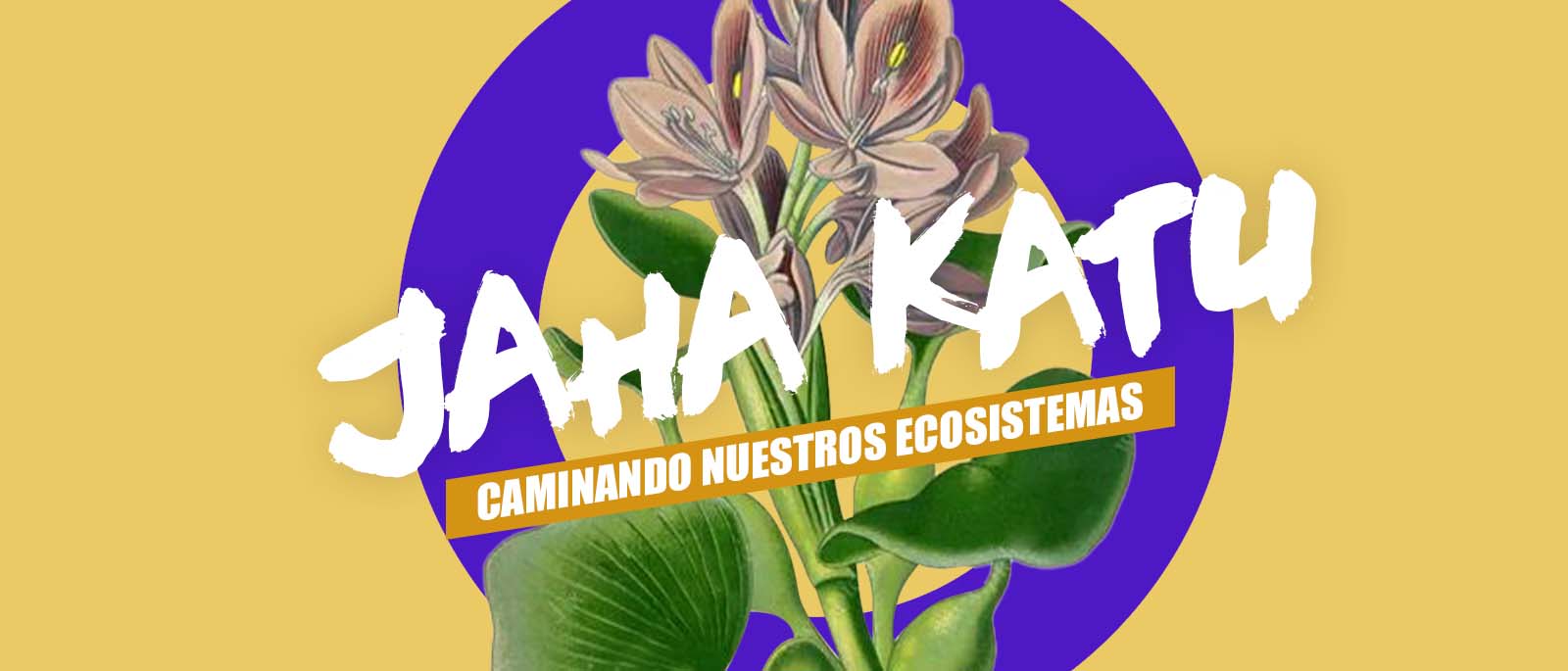 Jaha Katu Tercera edicin caminando por nuestros ecosistemas