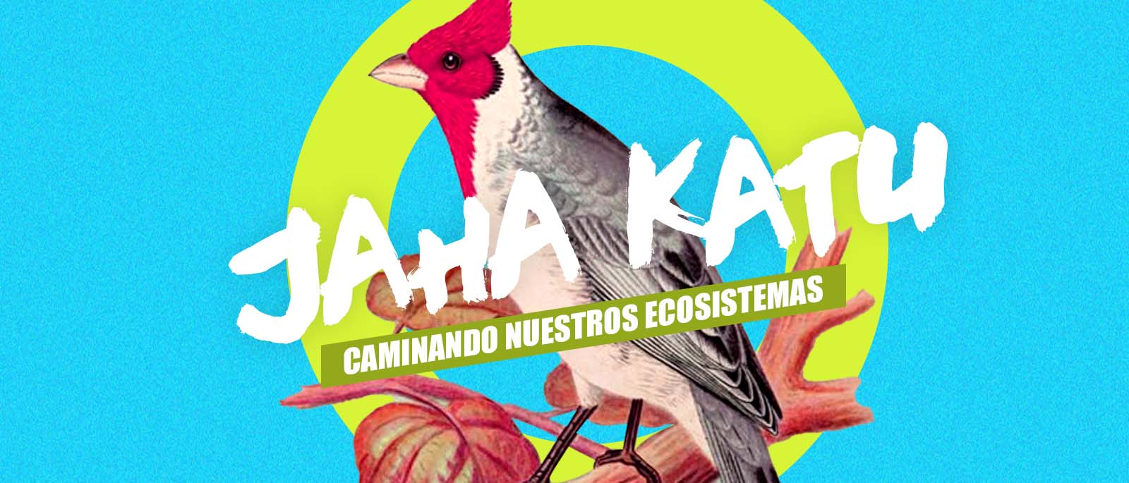 Jaha Kat Parque Guas