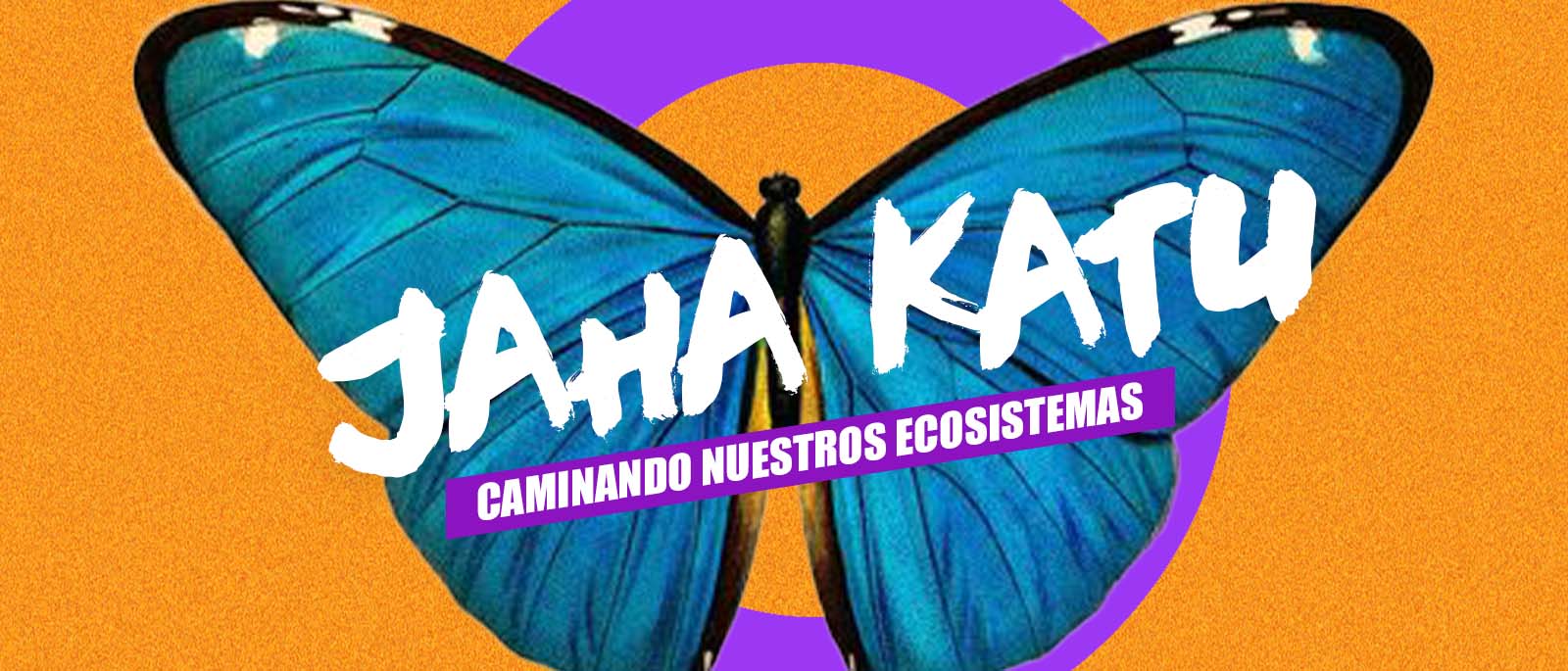 Jaha Katu Centro Histrico de Asuncin