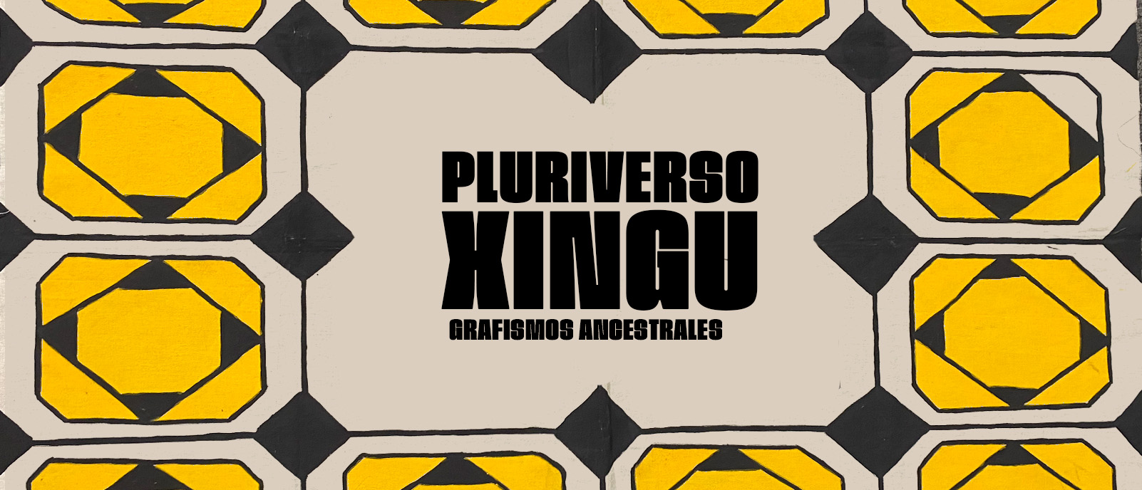 Desde el cuerpo grafas de Parque Indgena Xingu