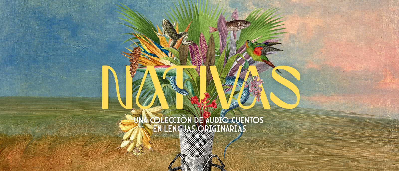 Entretejiendo cuentos y culturas Llega Nativas la cuarta temporada de Cuentos en Red