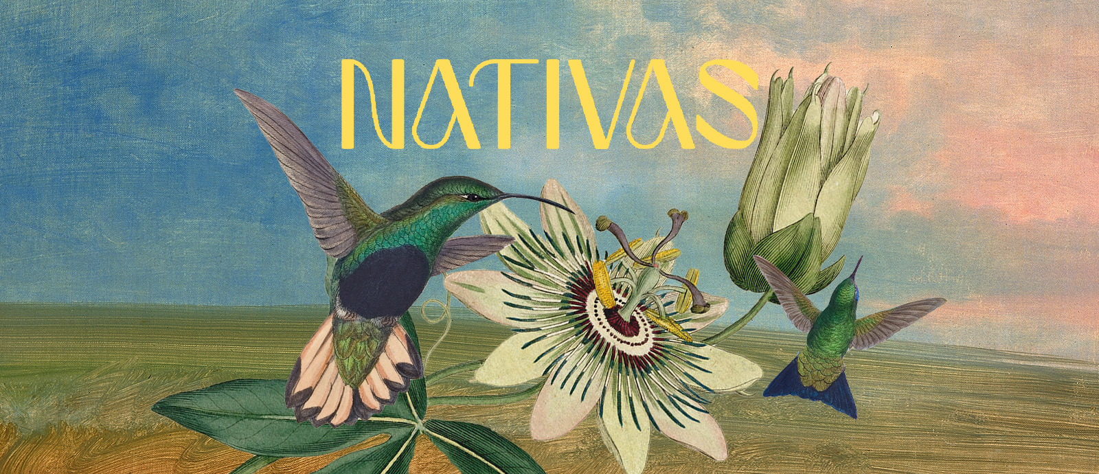 CUENTOS EN RED Jerova o La Mutacin un cuento de Estela Asilvera en guaran