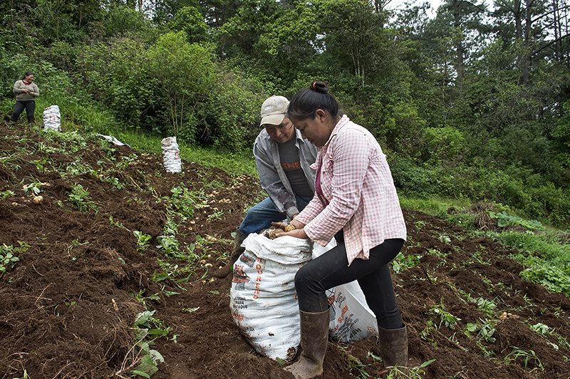 Proyecto \u201cLuma Cuma Guaminá-Empoderando a las mujeres indígenas Lencas y Campesinas\u201d desarrollado en Honduras, ejecutado por Oxfam Intermón y financiado por la AECID. Mujeres, jóvenes indígenas y campesinas han reactivado su economía diversificando sus medios de vida. Foto: © Miguel Lizana /AECID